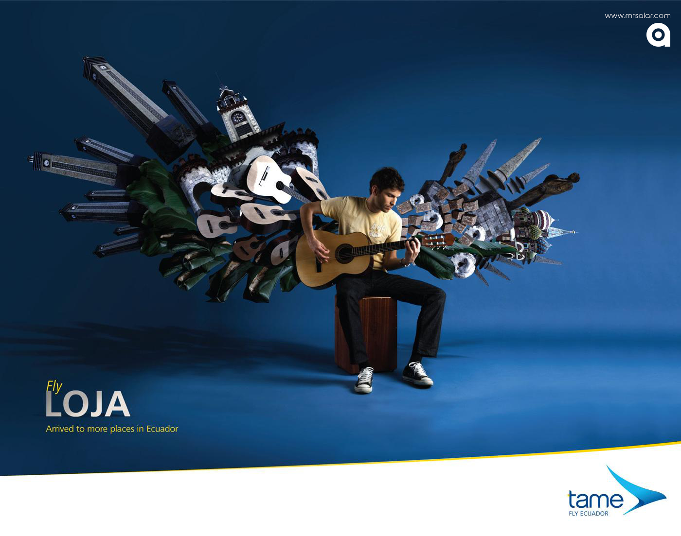 تصویر تبلیغاتی شرکت مسافرتی Tame Ecuador: پرواز به لوژا