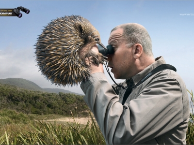 تصویر تبلیغاتی دوربین المپیوس: دیدن جوجه‌تیغی