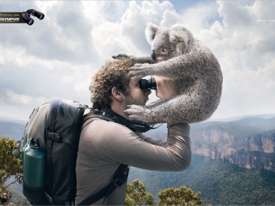 تصویر تبلیغاتی دوربین المپیوس: دیدن کوآلا