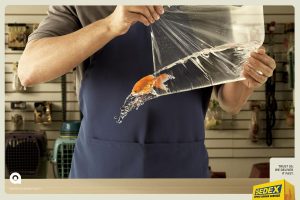 تصویر تبلیغاتی شرکت حمل بار Sedex: ماهی