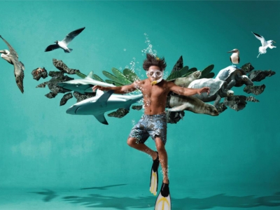 تصویر تبلیغاتی شرکت مسافرتی Tame Ecuador: پرواز به گالاپاگوس