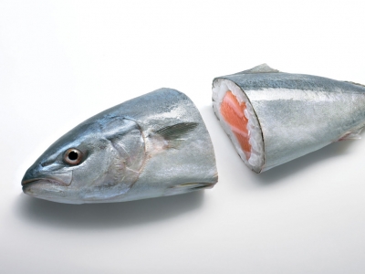 تصویر تبلیغاتی رستوران Yo Sushi: ماهی