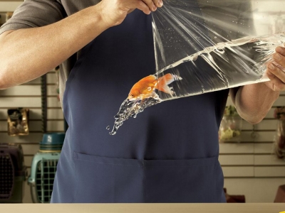 تصویر تبلیغاتی شرکت حمل بار Sedex: ماهی