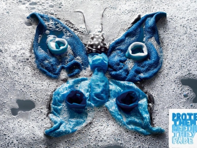 تصویر تبلیغاتی شوینده Persil: پروانه