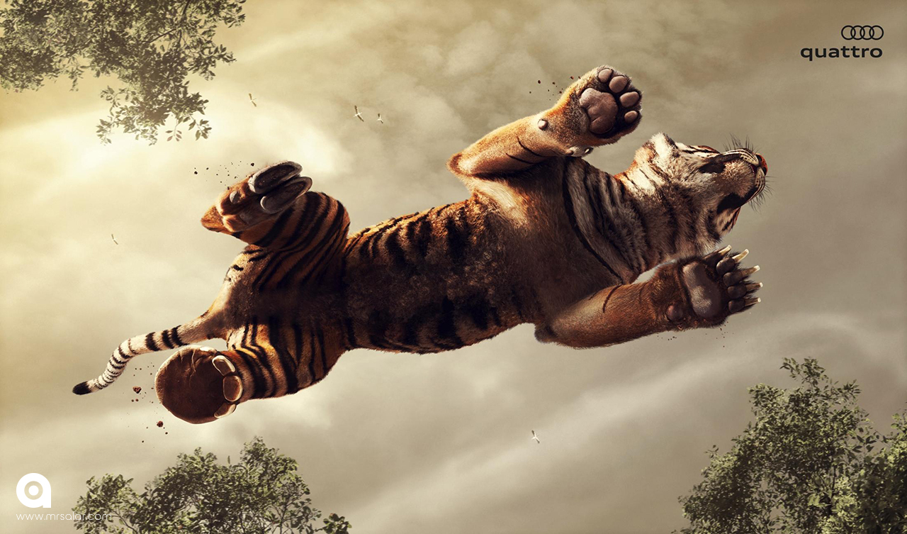 تصویر تبلیغاتی آئودی کواترو: ببر
