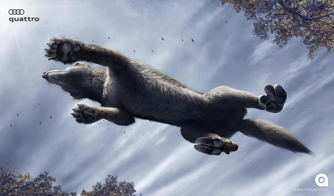 تصویر تبلیغاتی آئودی کواترو: گرگ