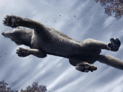 تصویر تبلیغاتی آئودی کواترو: گرگ