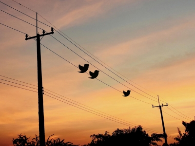 تصویر تبلیغاتی کیا: توییتر