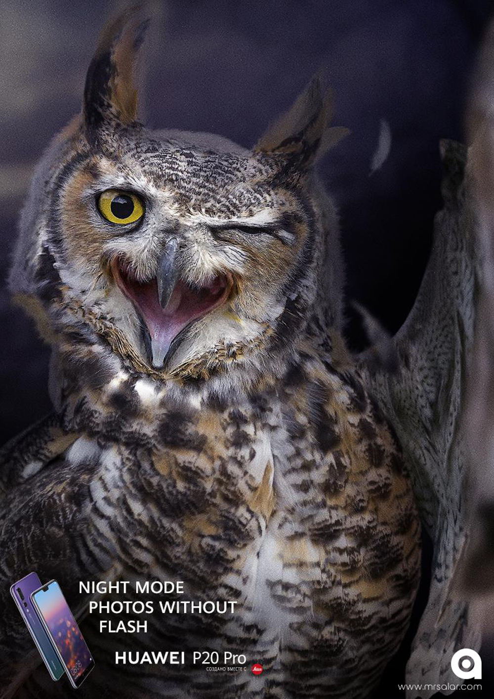 تصویر تبلیغاتی هواوی حالت شب: جغد