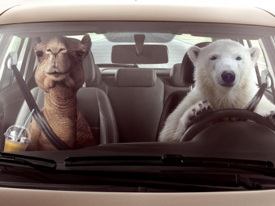 تصویر تبلیغاتی فولکس واگن: خرس قطبی و شتر