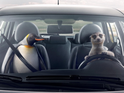 تصویر تبلیغاتی فولکس واگن: میرکات و پنگوئن