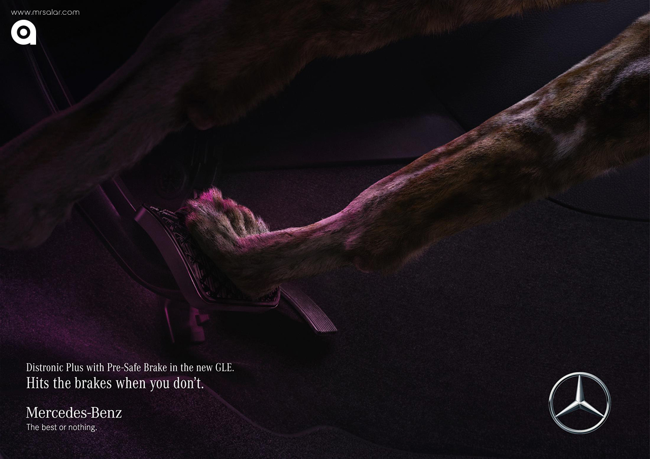 تصویر تبلیغاتی مرسدس بنز: سگ وحشی