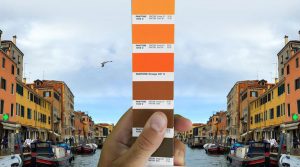 رنگ پنتون چیست؟ تاریخچه شرکت پنتون و فرایند انتخاب رنگ سال