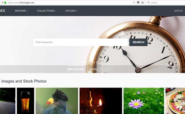 دانلود عکس باکیفیت رایگان